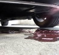 Engine Coolant Water Leak